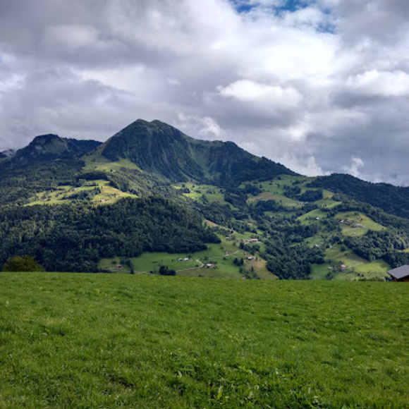 Meet your Posher, Taylor - Picture 1 of 1